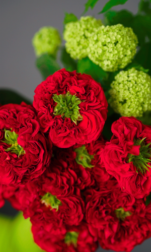 Contraste rojo-verde